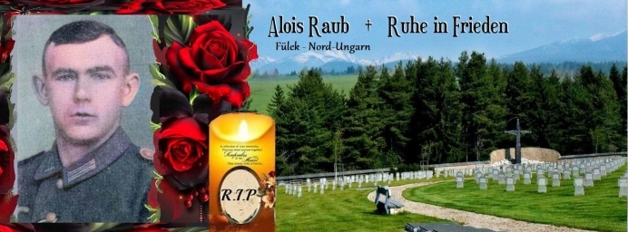 Stimmungsbild-Karl Alois-Raub-1